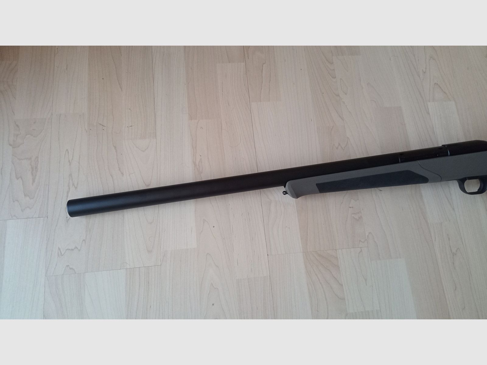 Blaser R8 Professional Silence 2.0