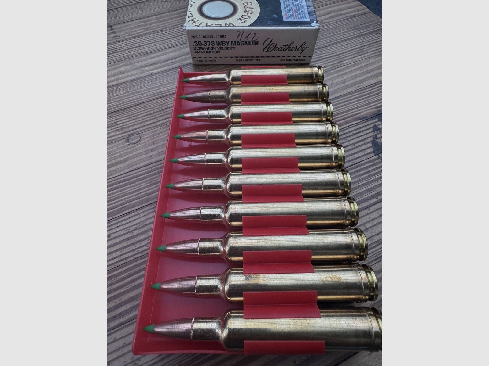 Weatherby Ballistic Tip