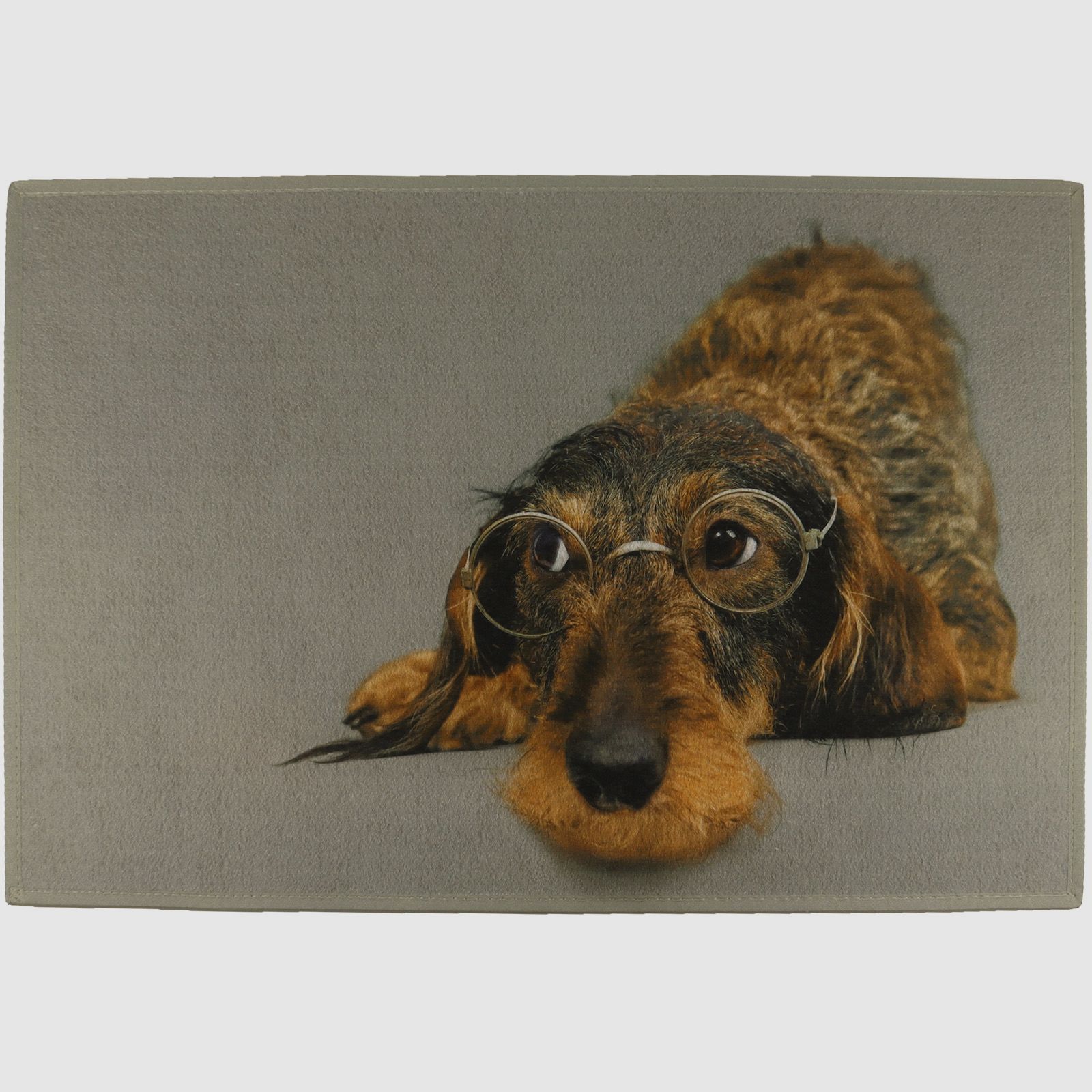 Fußmatte Dackel mit Brille 75x50cm