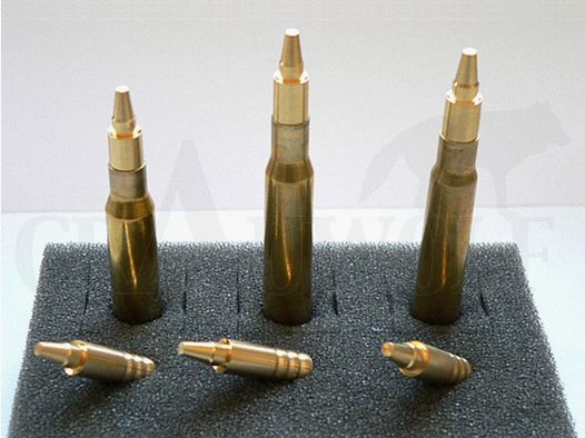 .308 / 7.62 mm 154 gr / 10.0 g Wi-La-Tech DSG / NS double-edge bullets lead-free 50 pieces