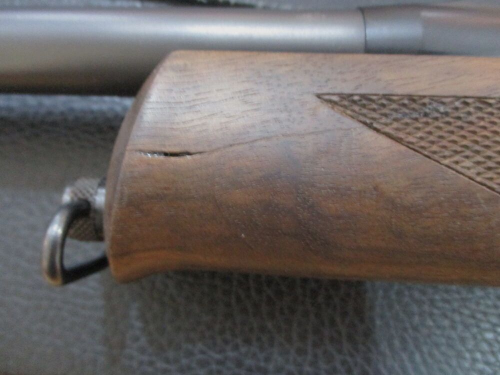 Sauer 303