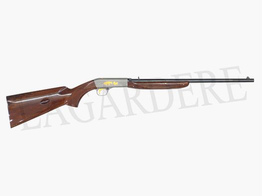 FN SEMI-AUTO GRAVEE DEMONTABLE (SEMI-AUTOMATISCHE .22 BÜCHSE)