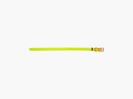 HP&G Dog Collar 25mm Yellow