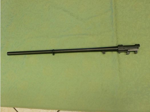 Blaser K95