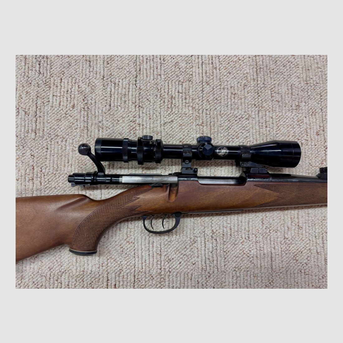 Zastava