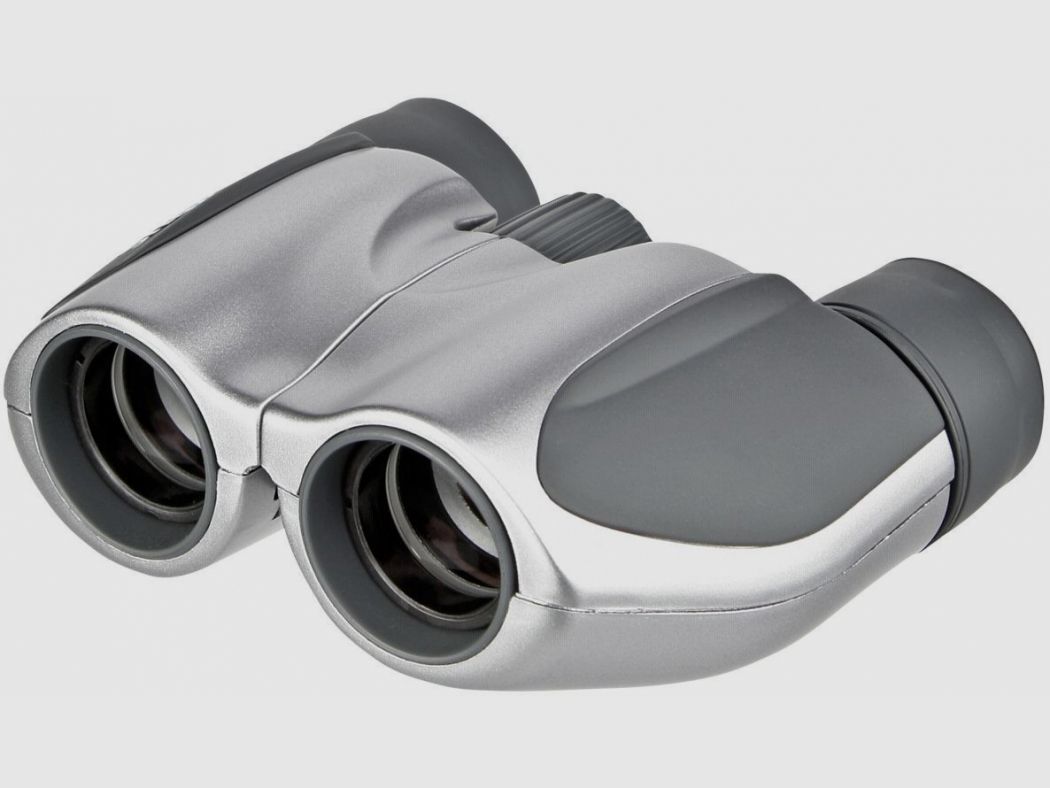 Olympus Olympus 10x21 DPC I