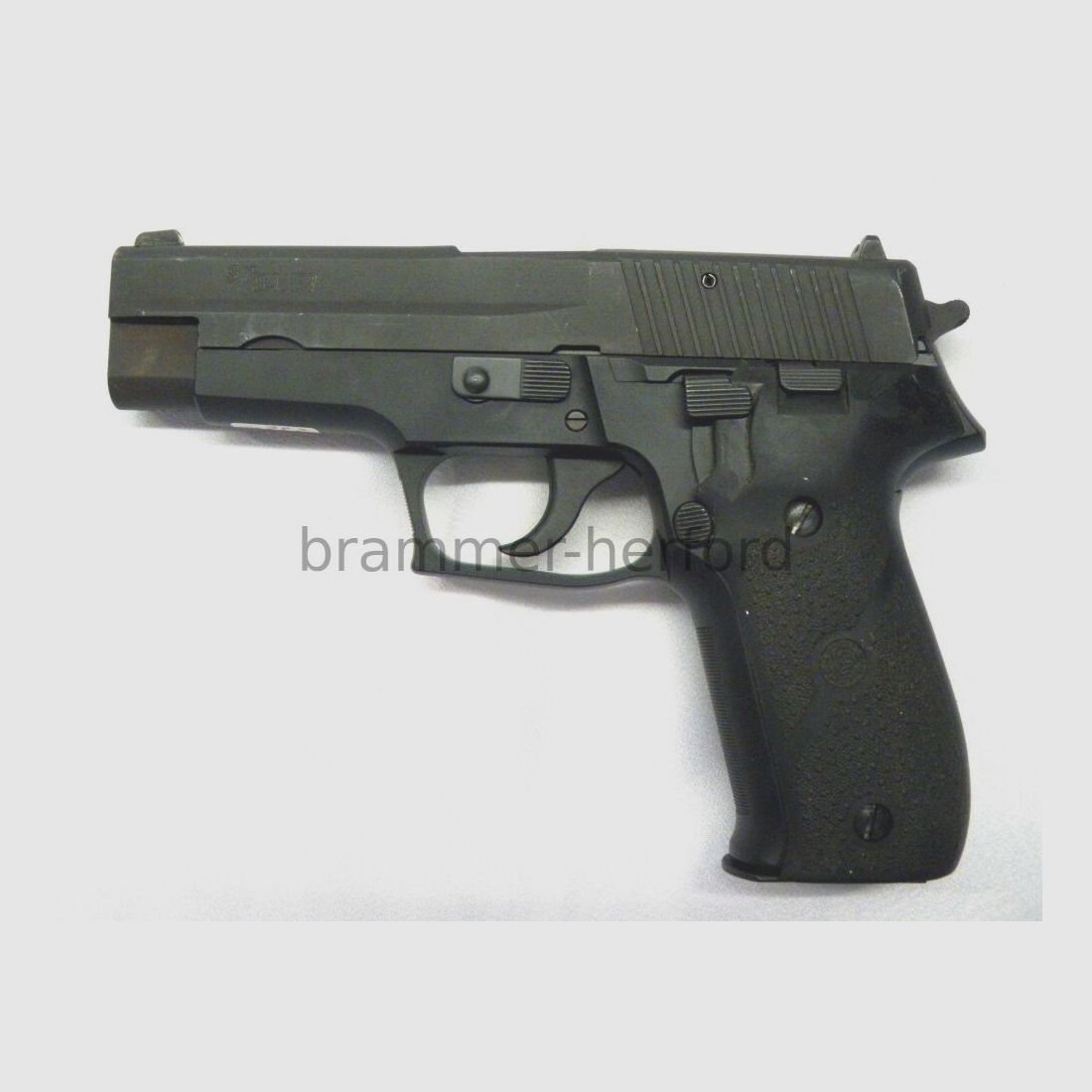 Sig Sauer (2) P226