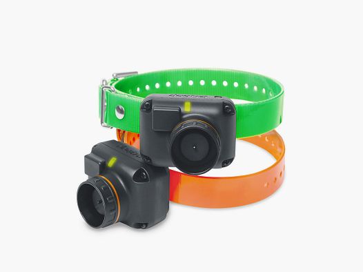 COLLIER SUPPLÉMENTAIRE POUR DOGTRA 2600