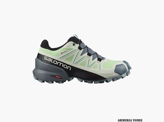 SALOMON – DAMEN – SPEEDCROSS 5 GTX W Patina Green / Stormy Weather / Peacock Green