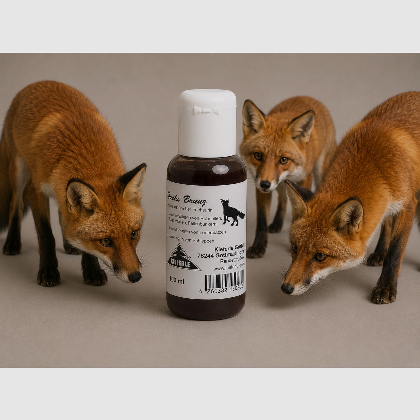 <Fuchsbrunz de Kieferle>
