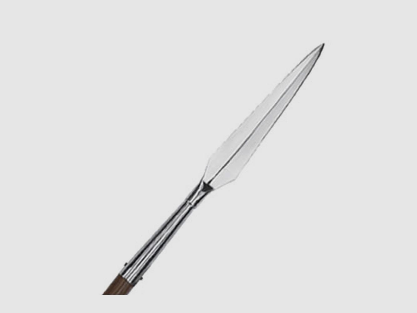 Speerspitzen rmisch.Langspeer