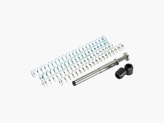 DPM Systems Recoil Reduction System für Springfield Echelon 4.5″ & 5.28″