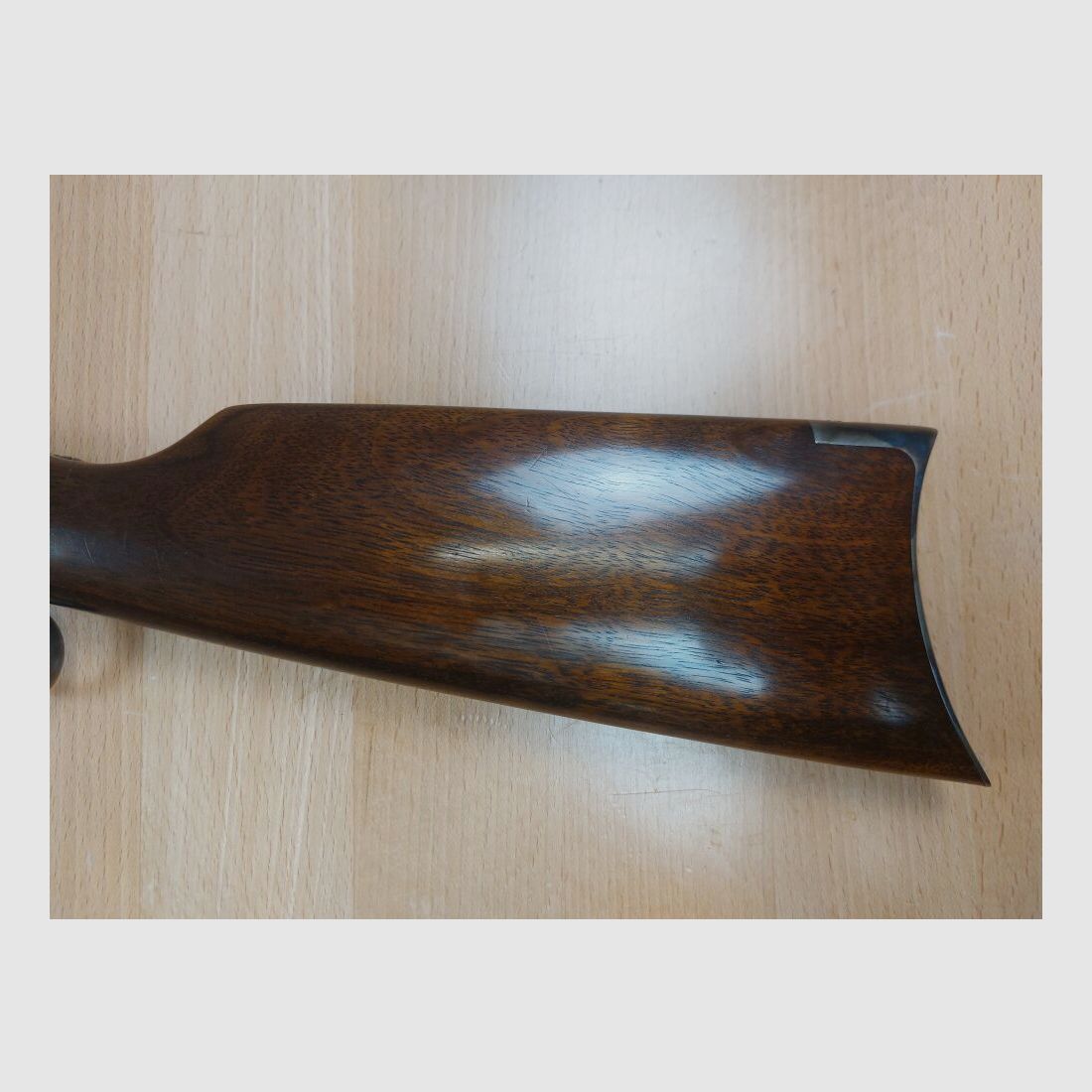 Chiappa M 1892