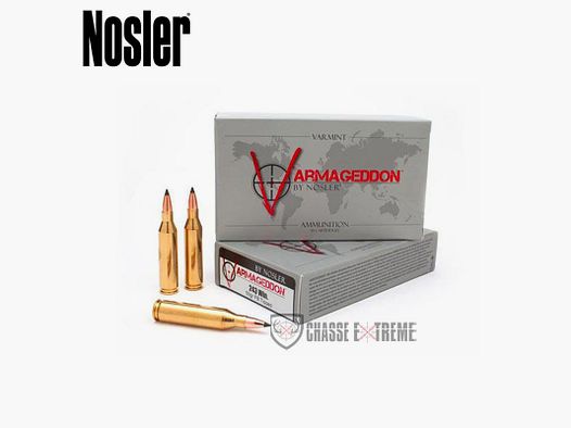 20 Patronen NOSLER VGA Kal. 243 Win 55Gr VG FBT