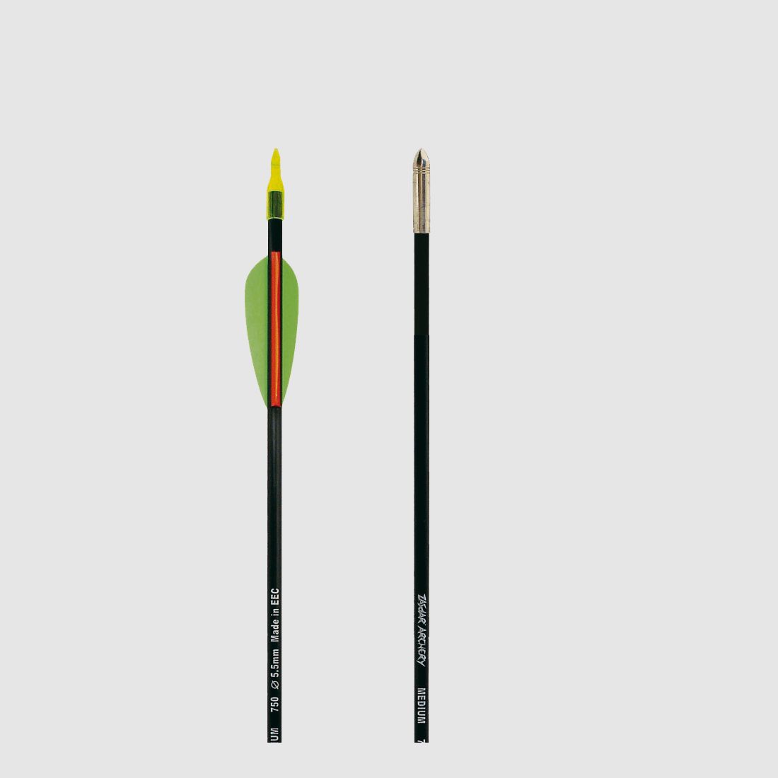 Freccia in Carbonio Iniziale 5.5 Recurve