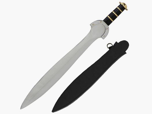 Keltenschwert mit Scheide