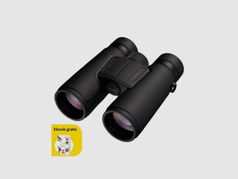 Nikon MONARCH M5 12x42, Bild 8 von 15