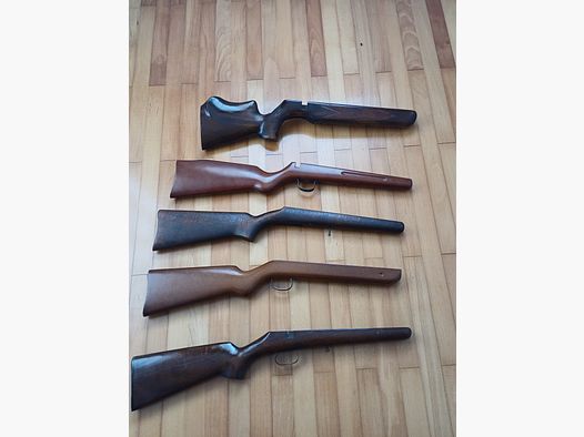 Stocks for .22 caliber air rifles