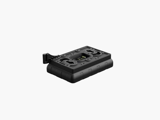 IPS PULSAR Battery Charger