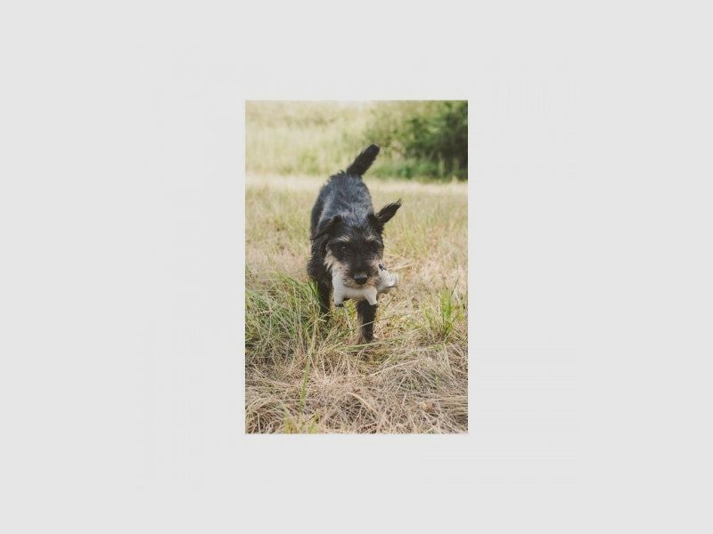 Farm-Land Cochon en Latex, image 6 sur 7