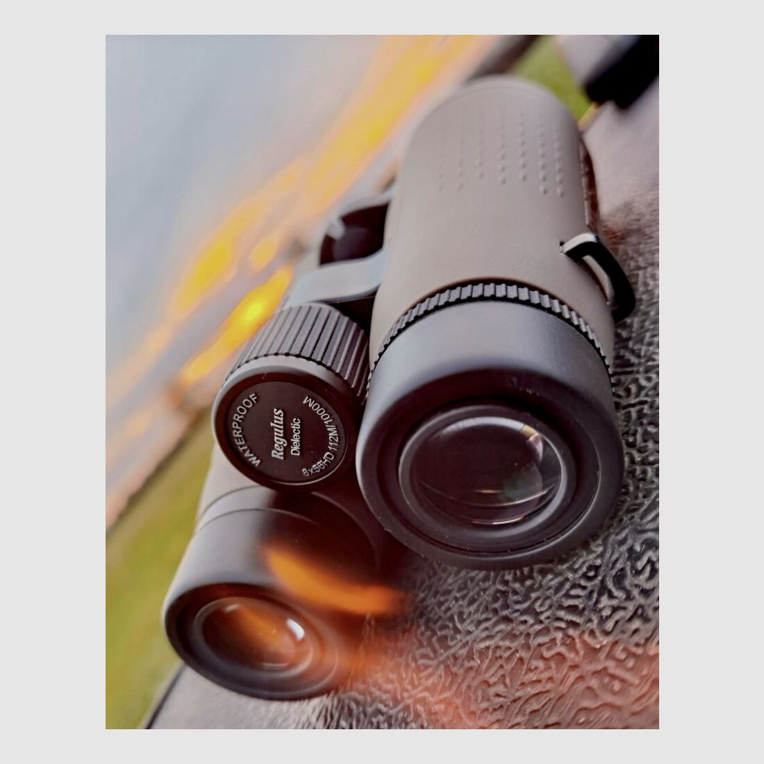 Ddoptics binoculars-KW Regulus 8x56 HD with case and Niggeloh carrying strap