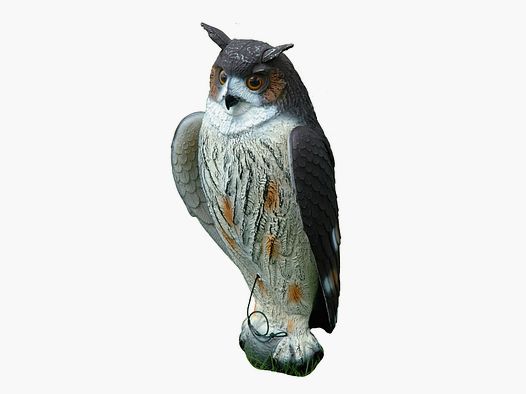 Hüttenuhu   mit beweglichen Schwingen