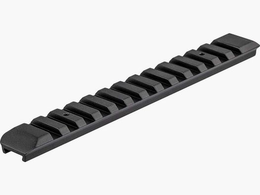 Rail Picatinny