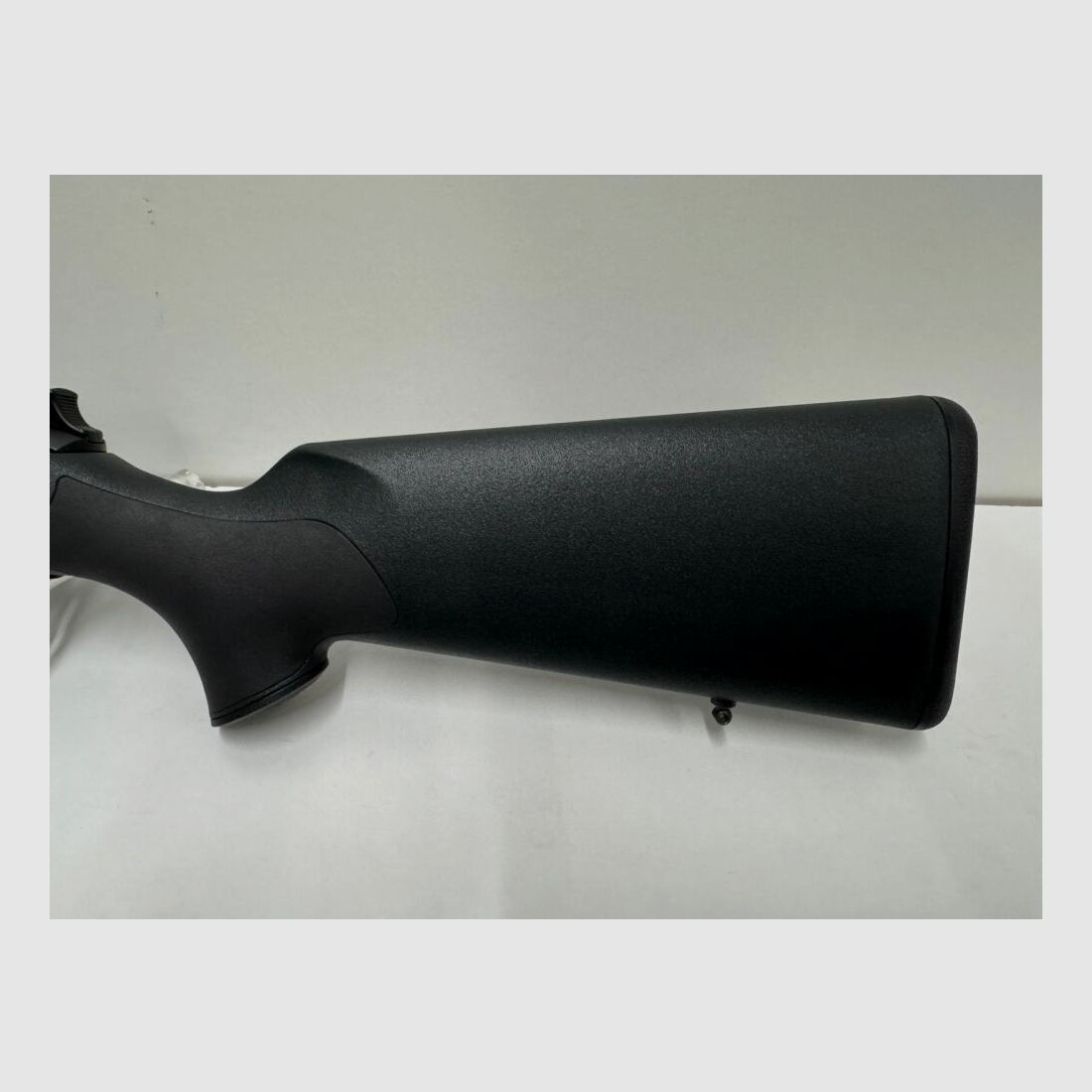 Blaser R8 - Weapons Friedrichs