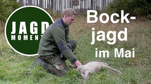 JagdMomente | Folge 2 | Bockjagd im Mai