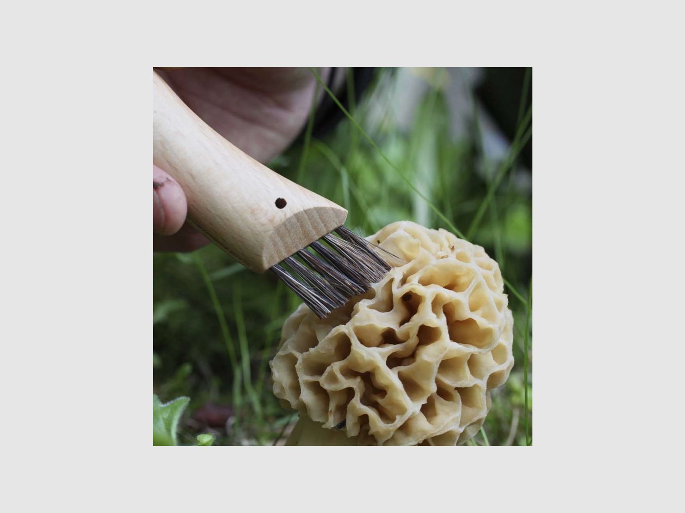 FALTMESSER OPINEL N°8 CHAMPIGNON, Bild 4 von 5