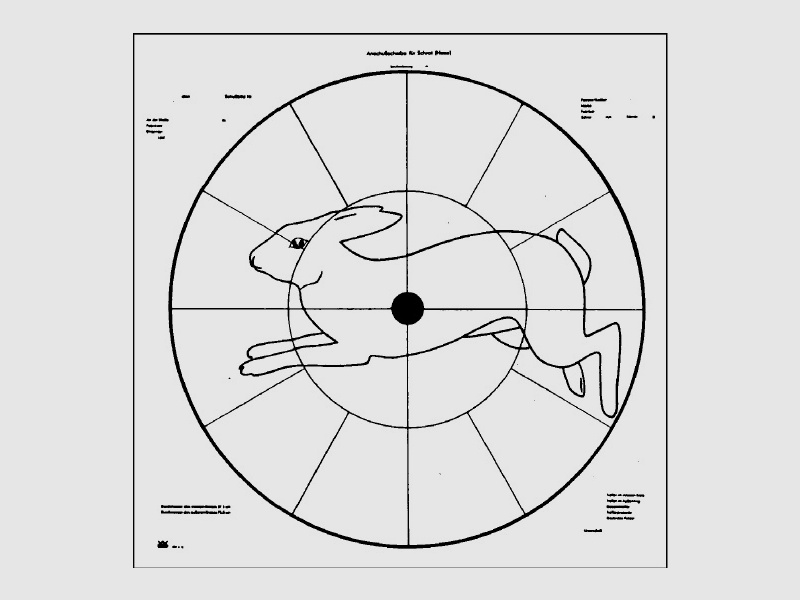 Anschuss-Scheibe, Hase DJV - A18, 16 Felder-Scheibe