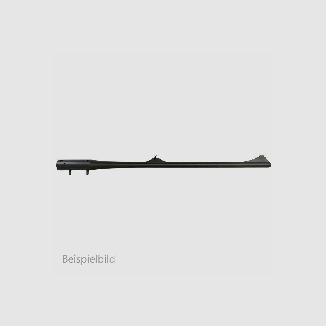 Blaser WL R8