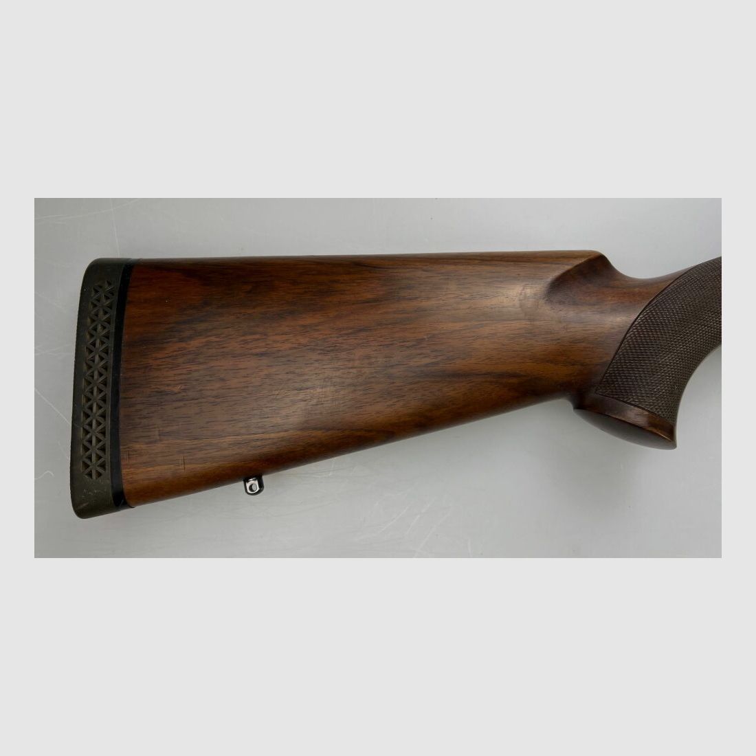 Trampa Rottweil Montreal