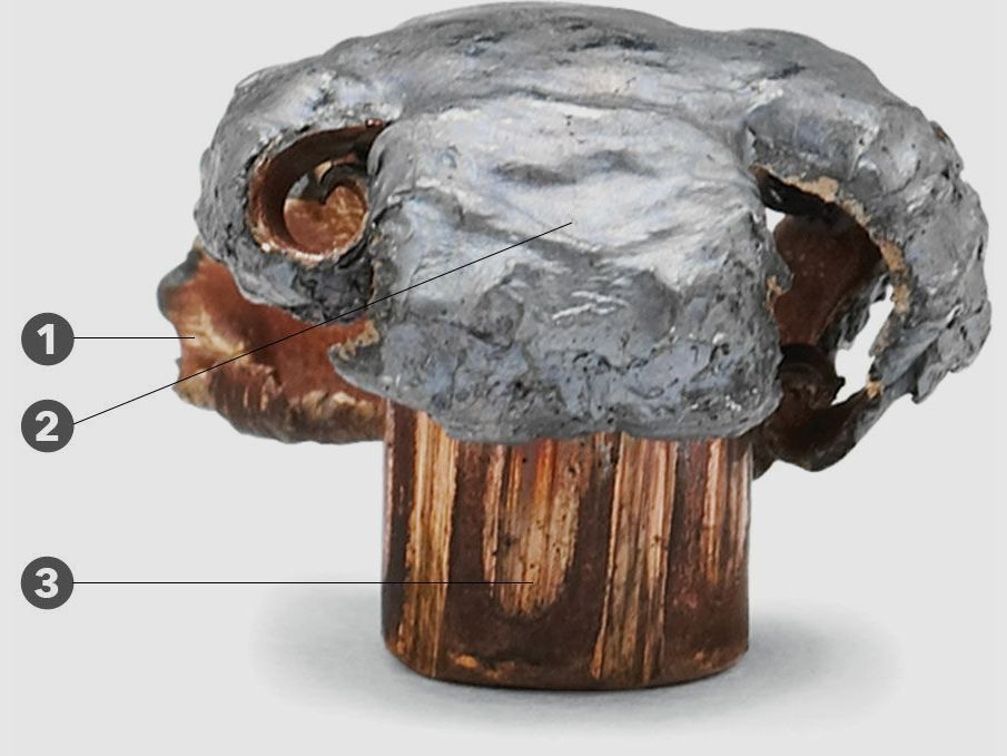 Remington CoreLokt 405grs - 20Stk