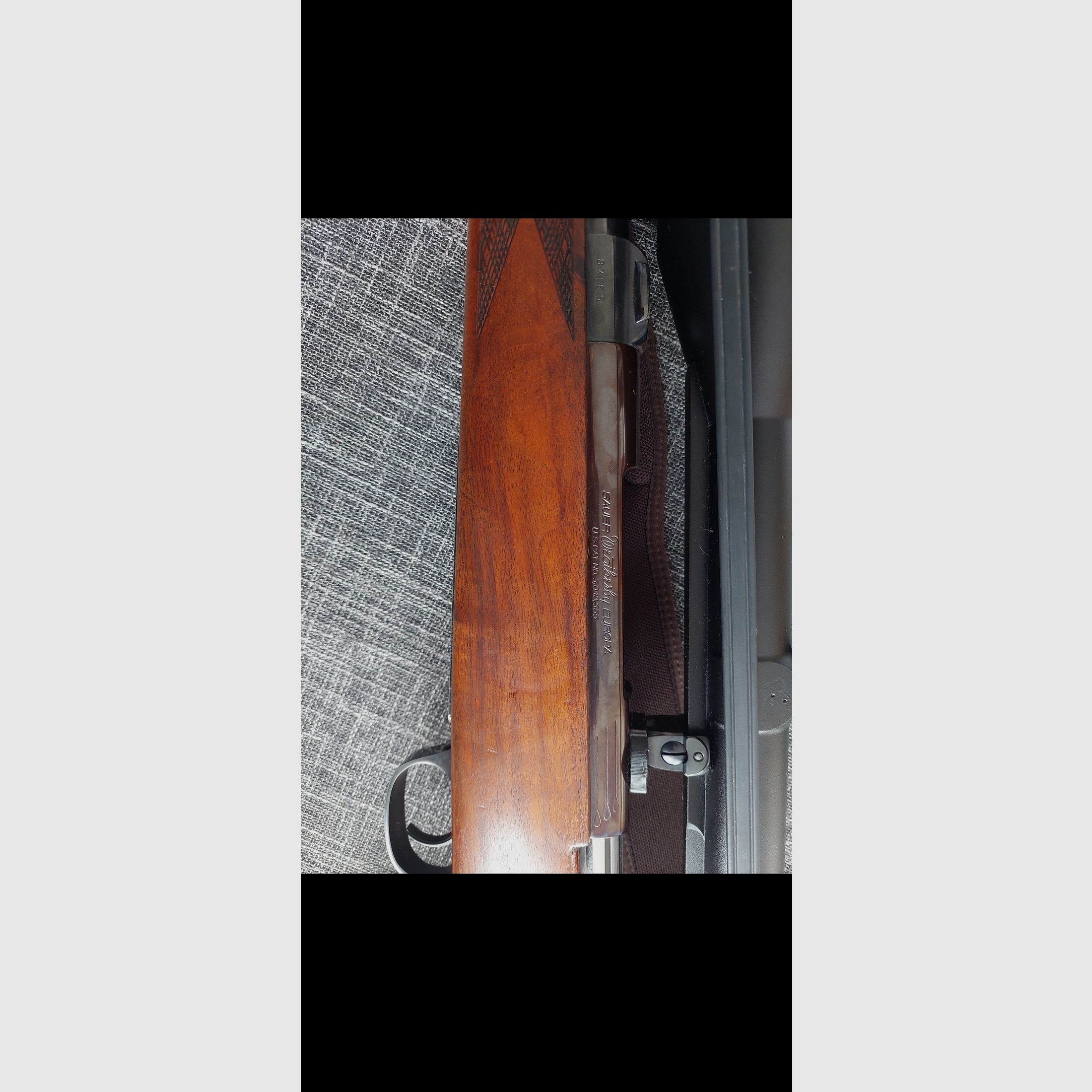 Sauer 8x68S