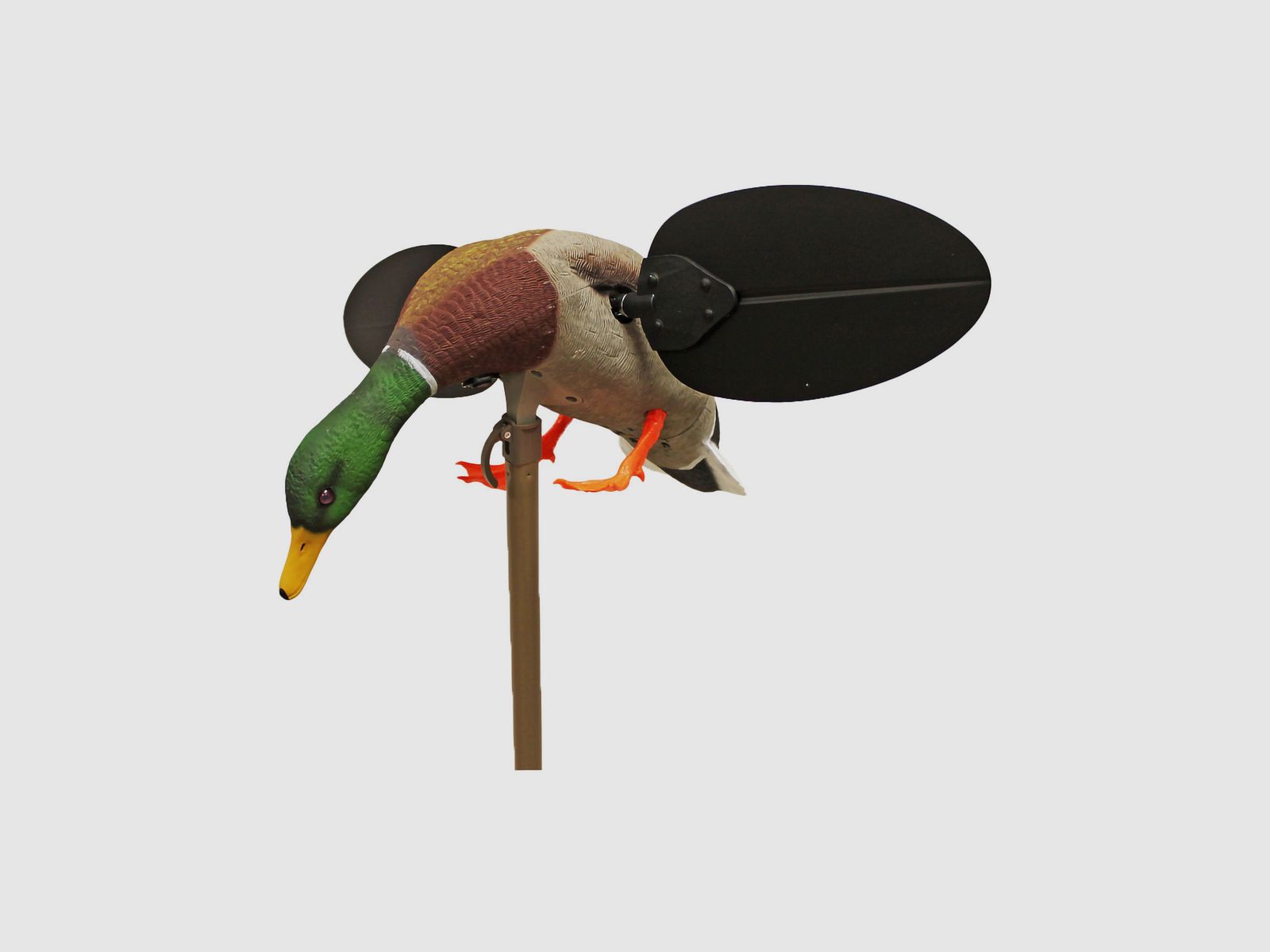 MOJO Mallard Drake UN3481