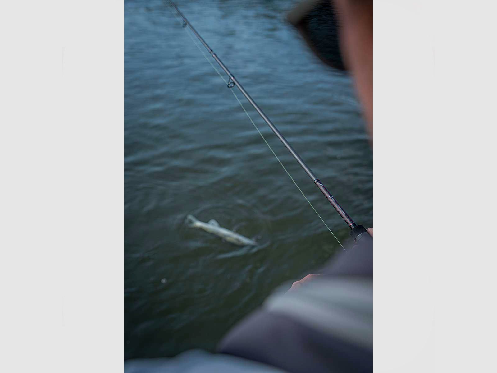 FOX RAGE – WARRIOR ZANDER JIGGER 10-30g | 240cm | 2pcs, immagine 10 di 13