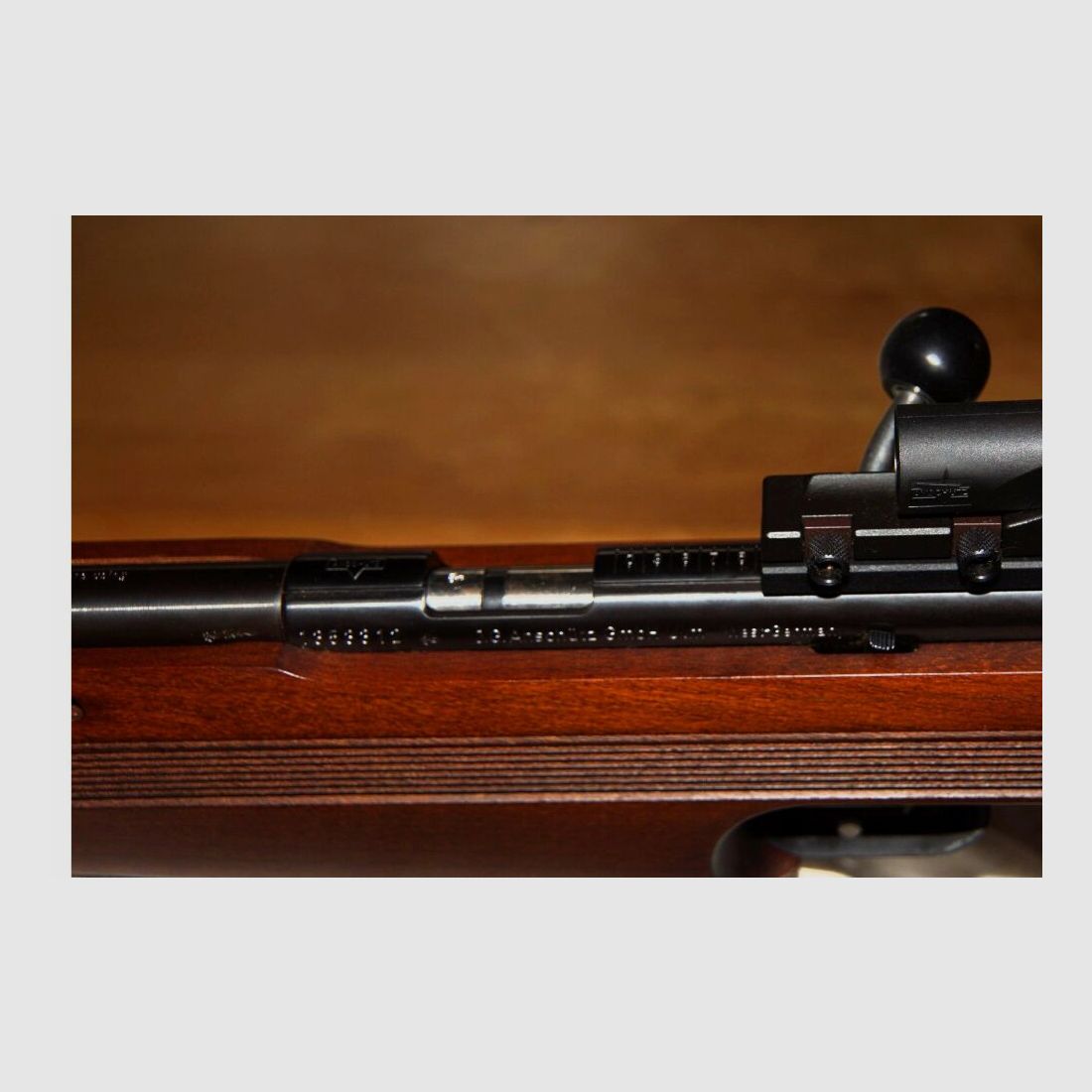 Anschütz 1903 .22lr