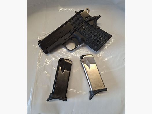 Para Ordnance P 10 / 45