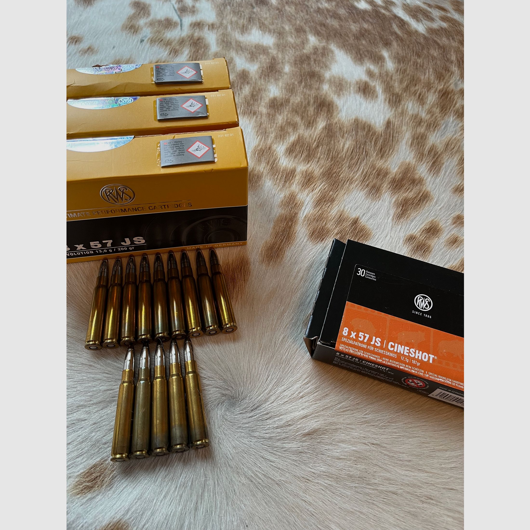 RWS 8x57 JS Evolution 13g / 200gr 75 shots