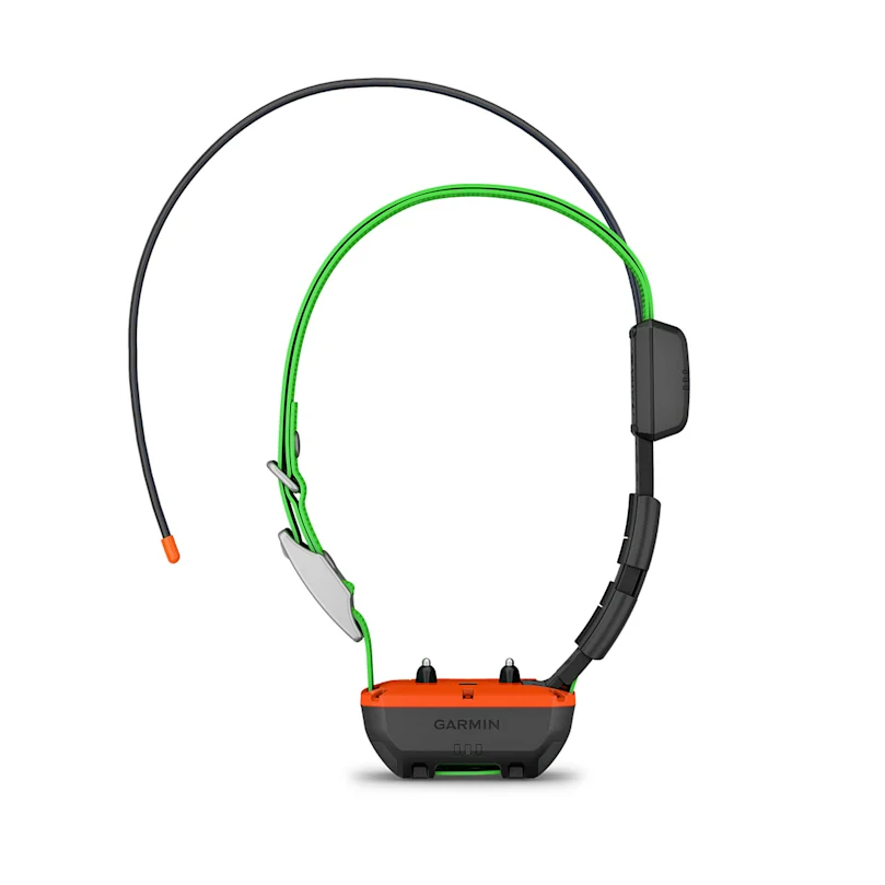 Collare GPS Alpha TT 25 F, immagine 2 di 3