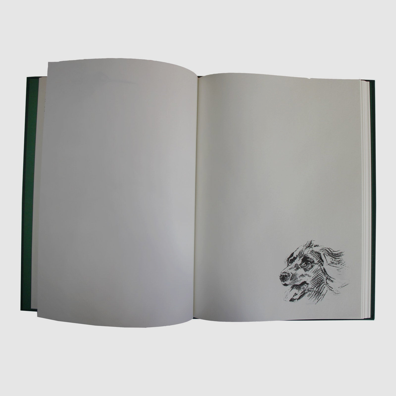 Schuss- und Jagdtagebuch