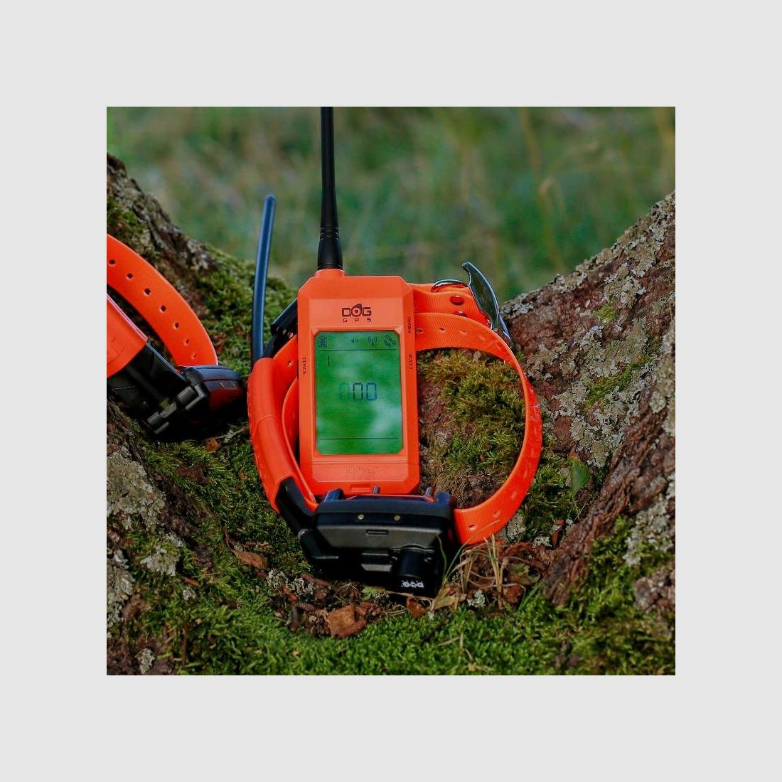 Collier supplémentaire Dogtrace DOG GPS X25TB, image 5 sur 5