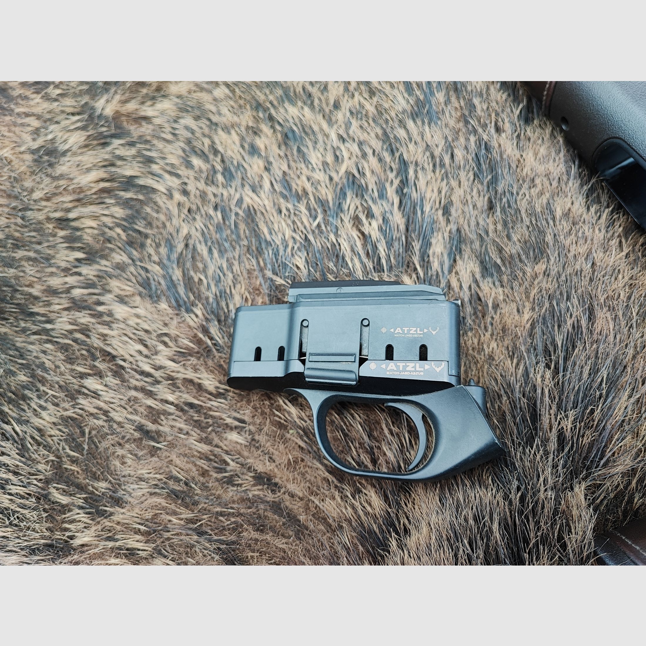Blaser R8 Professional Success 