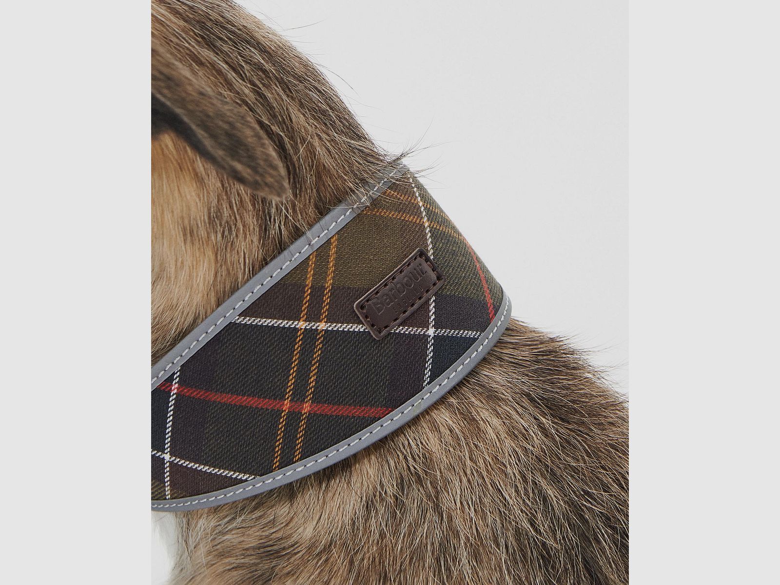 Collar para perro Barbour Lurcher Tartan