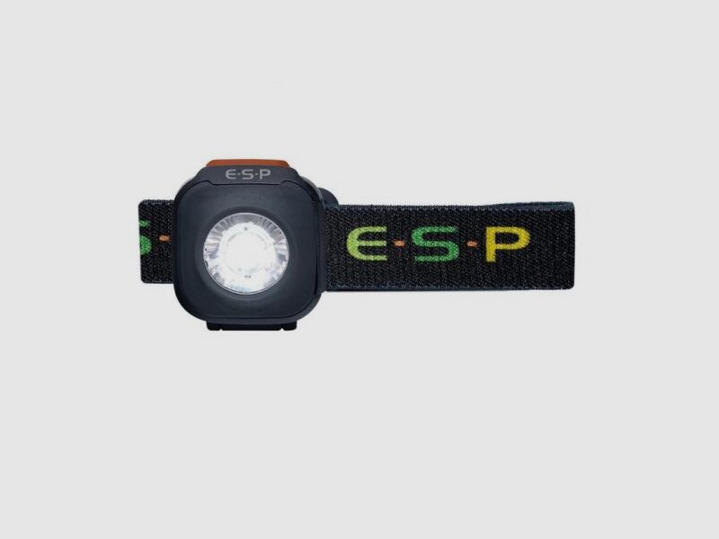 ESP 200lm Head Lamp