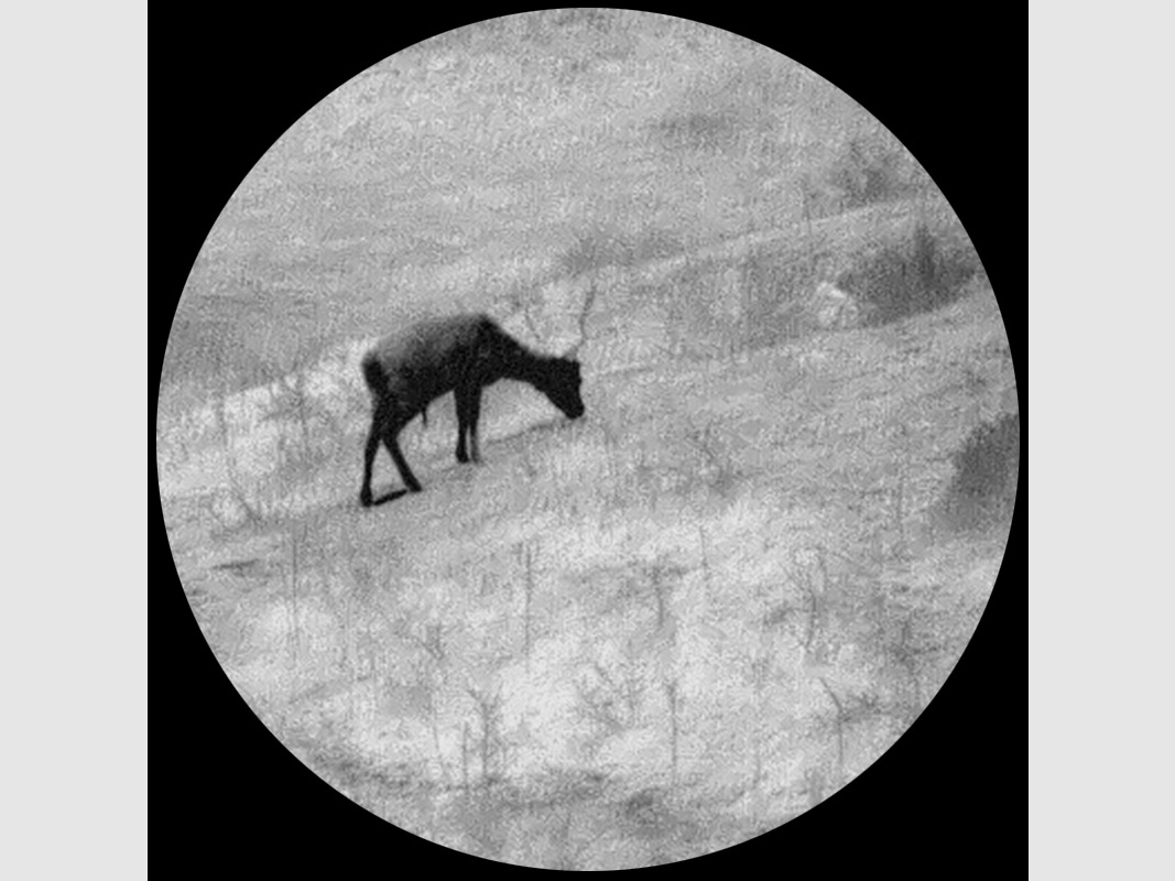 Lahoux LV-81 Echo Image Playback ONYX