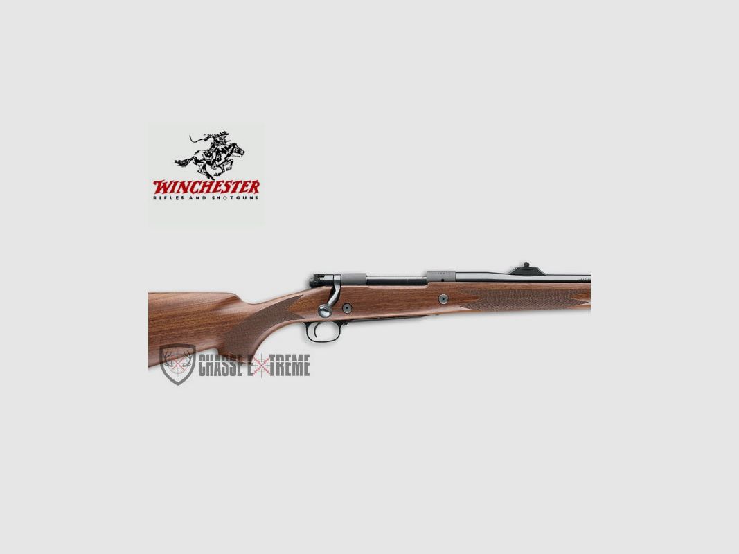 Carabine WINCHESTER M70 Safari Express, image 2 sur 2
