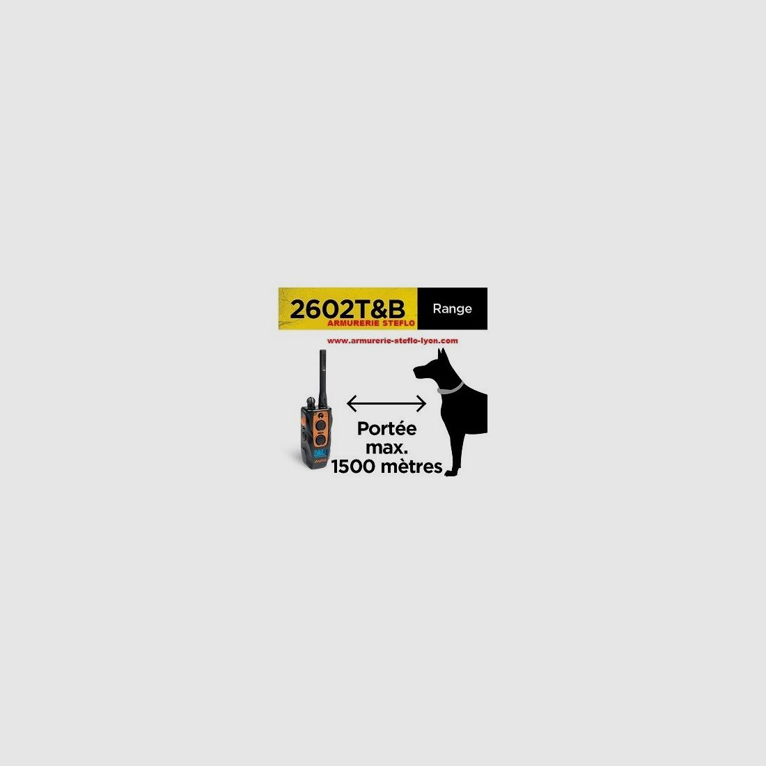 Dogtra 2602 T&B dressage + localisation, image 4 sur 4