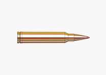 Hornady .300 Win Mag Match ELD 195 grs. 20 pcs